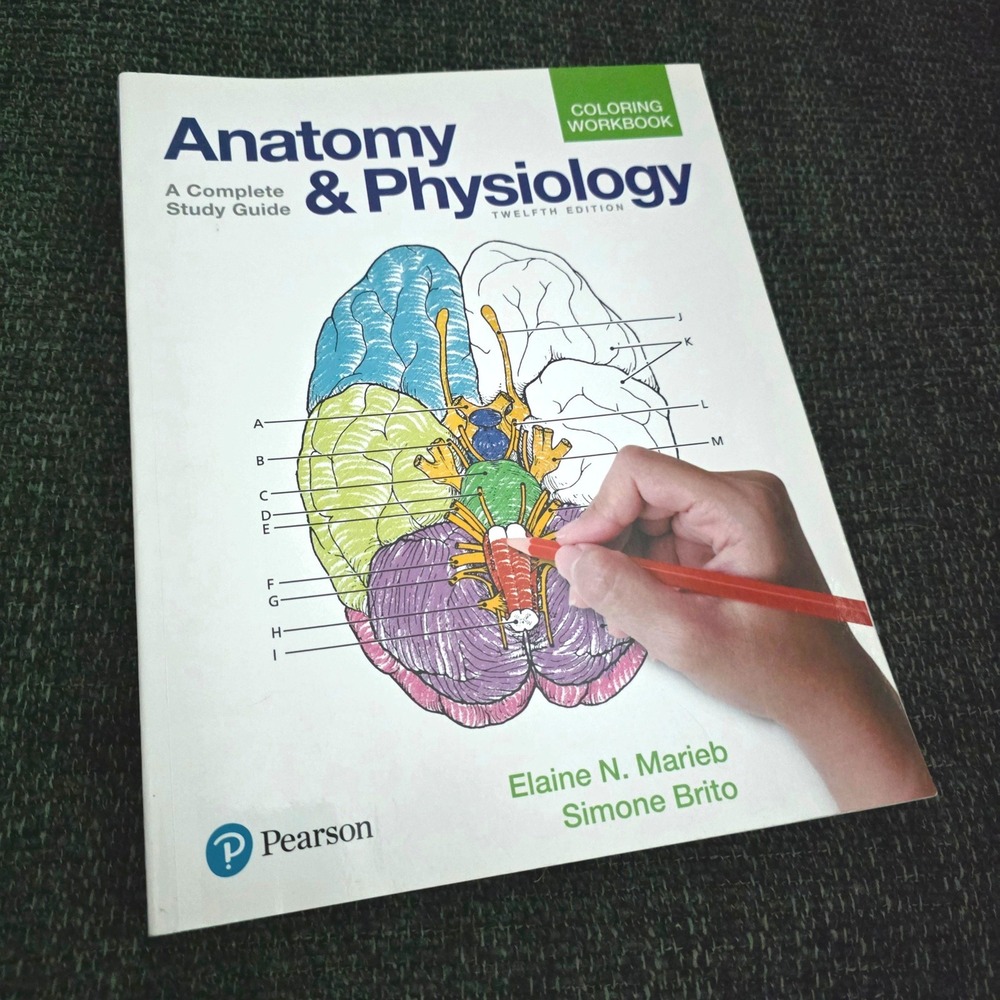 Anatomy and Physiology Coloring Workbook 12th Edition Marieb Brito Pearson